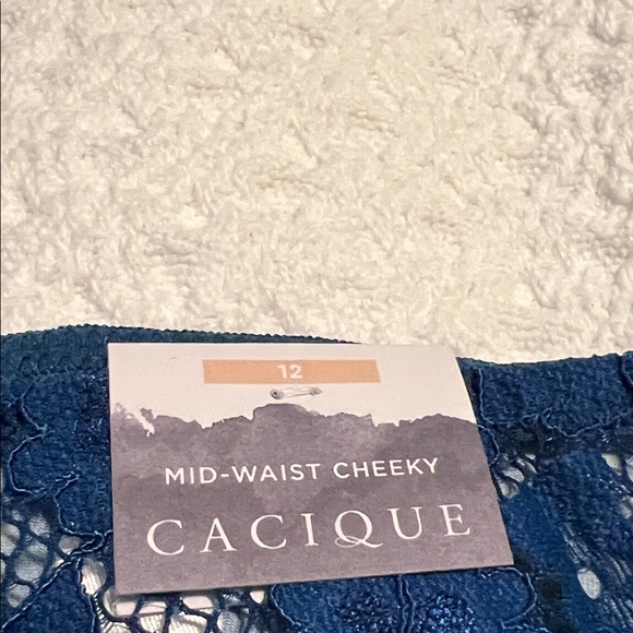 Cacique Blue Cherry Print Lace Panties with garters - Picture 2 of 11